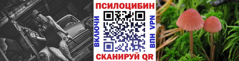 Псилоцибиновые грибы Cubensis  что такое   Невьянск 